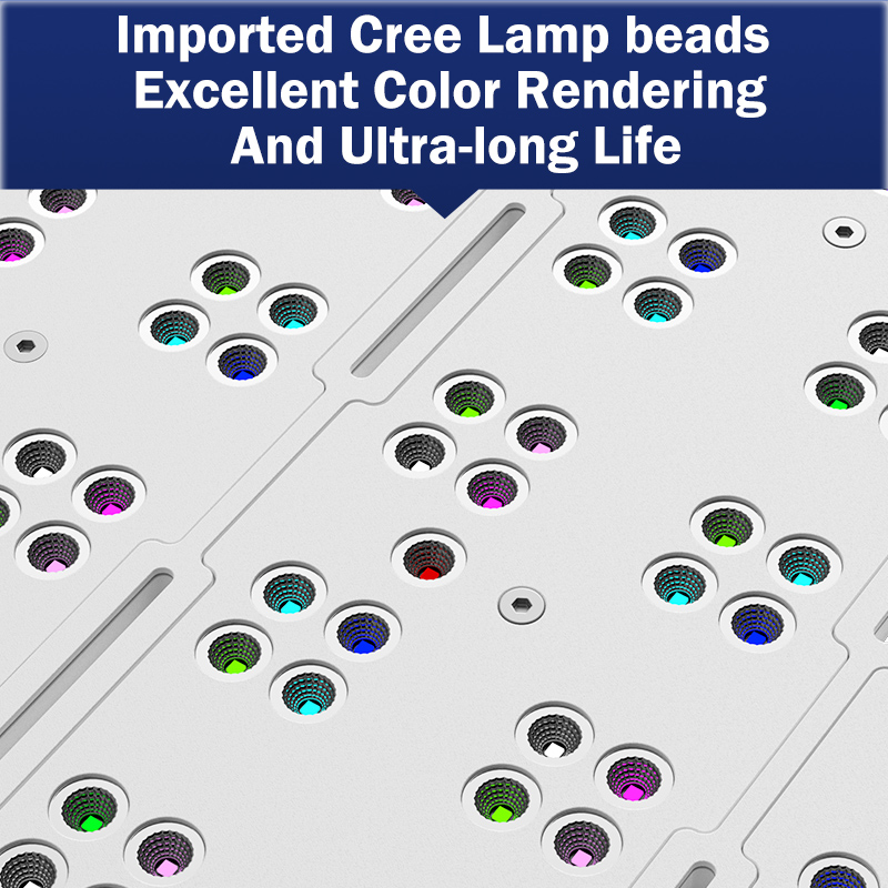 Hot KASSRAY T169/T215 CREEs LE - Reef Lighting ulasan dan harga