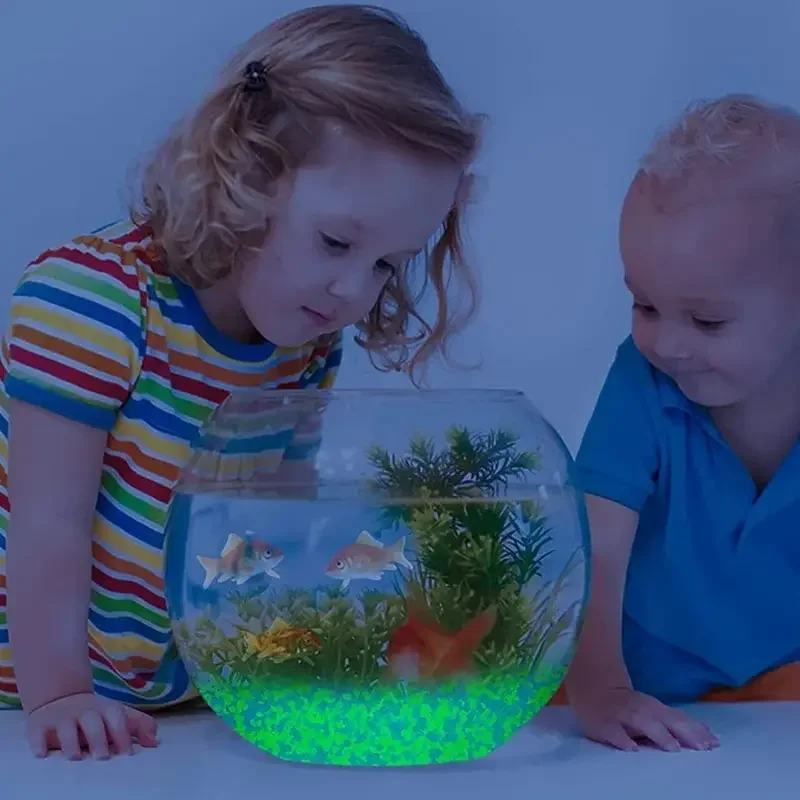 1000pcs 3-5mm Luminous Sand Gl - Marine Fish Tank ulasan dan harga