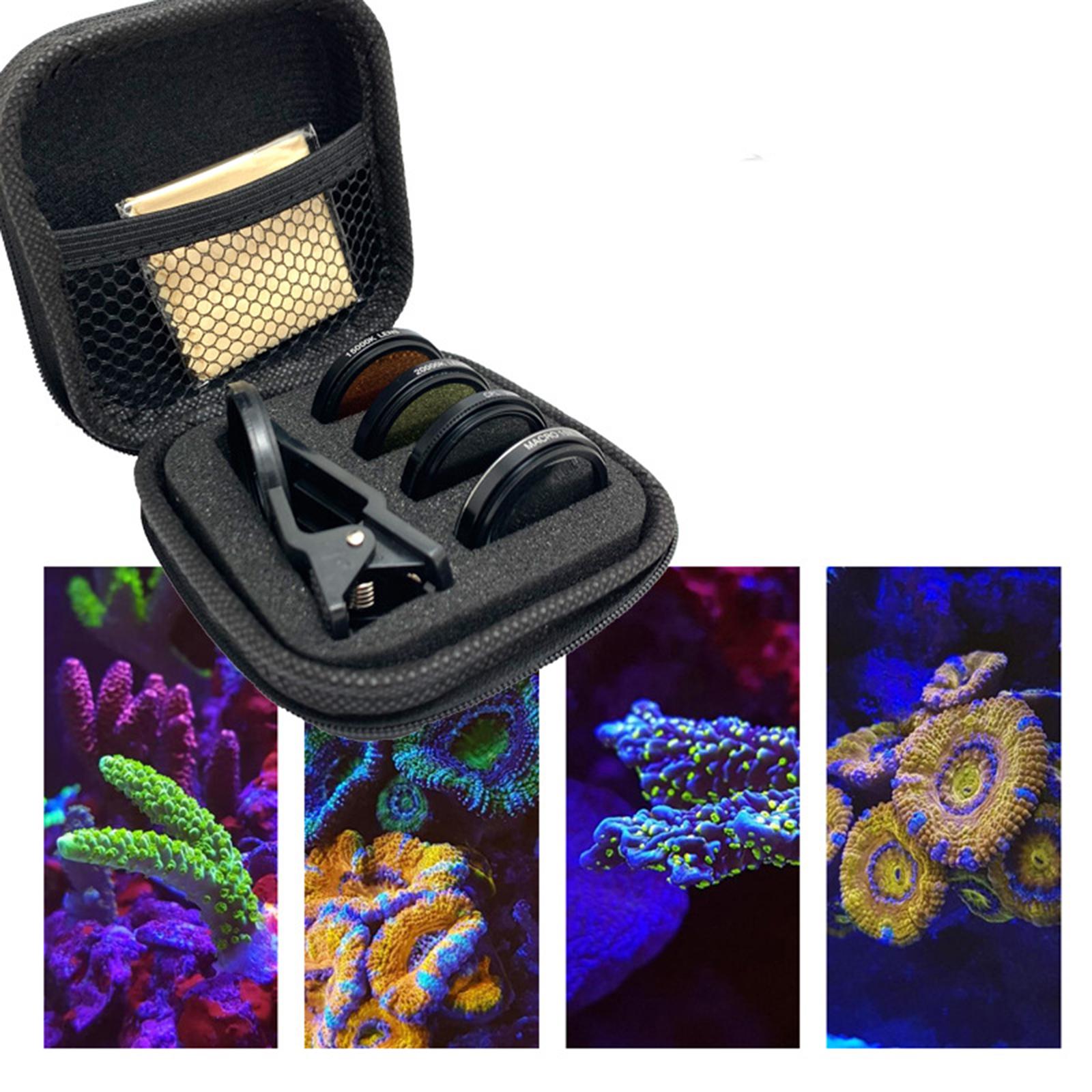 Fish Lens Camera Coral Reef Ph - Marine Aquarium ulasan dan harga