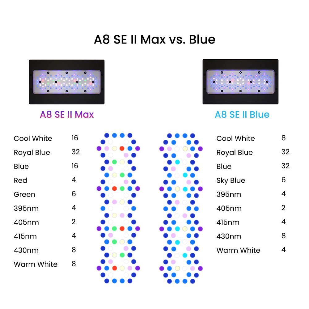 A8SE II Max And Blue 240W Full - Marine Coral ulasan dan harga