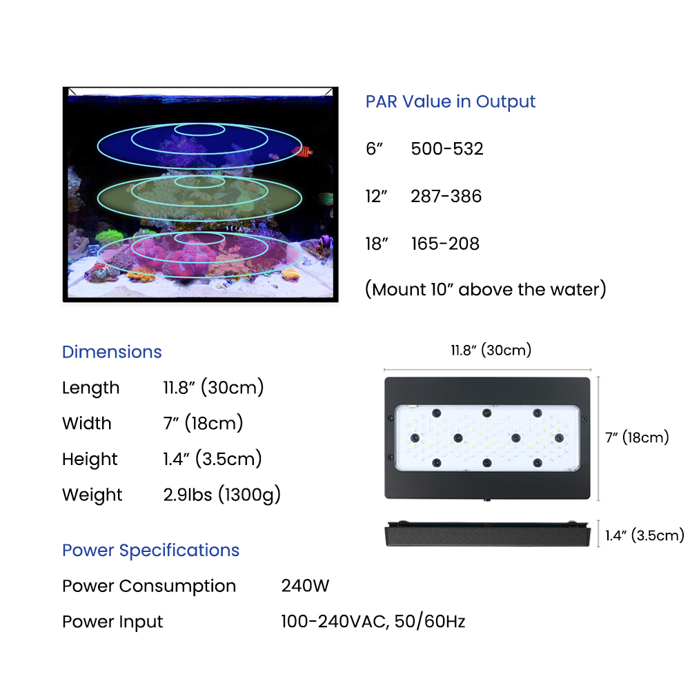 A8SE II Max And Blue 240W Full - Marine Coral ulasan dan harga