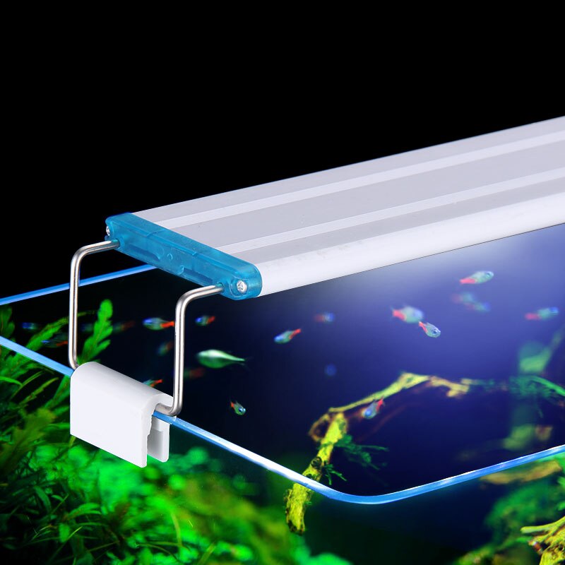 Extensible Waterproof Clip on  - Aquarium Marine Lights ulasan dan harga